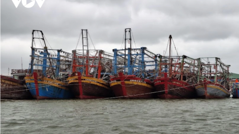 Thời sự 21h30 11/2/2026: Đà Nẵng chi gần 61 tỉ đồng hỗ trợ ngư dân chuyển đổi nghề và vươn khơi