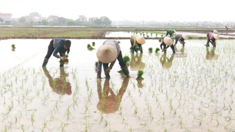 Theo dòng thời sự sáng 24/2/2026