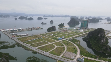 Xuân mới ở đặc khu Vân Đồn