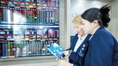 Lực cầu nội địa tạo nền móng cho chu kỳ IPO mới