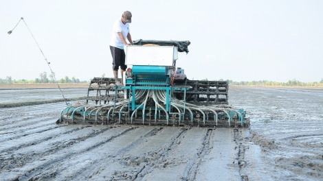 Bài 2: Nông nghiệp vùng ĐBSCL khẳng định vị thế xuất khẩu