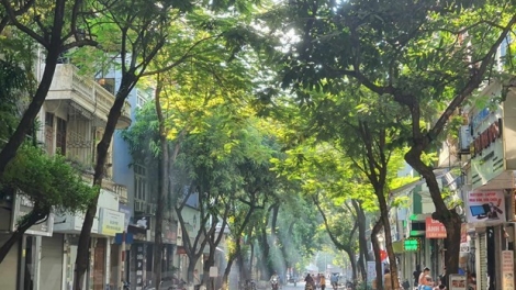 Thời tiết ngày 4/3/2026: Bắc Bộ ngày nắng, đêm và sáng trời rét