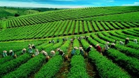 Thái Nguyên: Chương trình OCOP lan tỏa giá trị nông sản (30/03/2026)