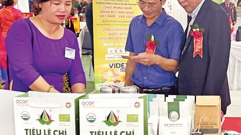 Chuẩn hóa sản xuất để khẳng định vị thế nông sản Việt