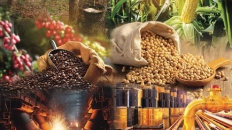 Cần hoàn thiện hành lang pháp lý liên quan đến giao dịch hàng hoá phái sinh