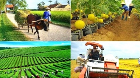 Nông nghiệp thích ứng trước tác động từ xung đột Trung Đông