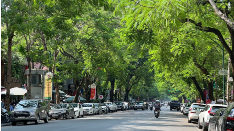 Dự báo thời tiết ngày 24/3/2026: Miền Bắc đêm mưa, ngày nắng