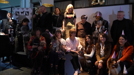 Fido Awards - “Giải Oscar” dành cho những chú chó trong ngành điện ảnh