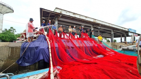 Cà Mau: Hỗ trợ ngư dân đổi, nâng cấp thiết bị giám sát tàu cá