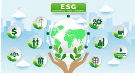 Đẩy mạnh thực thi ESG tại Việt Nam 