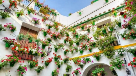 Theo dòng thời sự chiều 8/3/2026