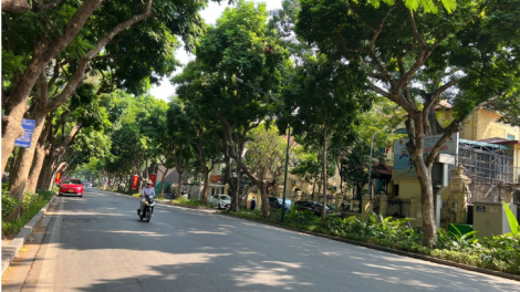 Thời tiết 13/3/2026: Miền Bắc nắng ráo trở lại, miền Trung đón mưa lớn diện rộng