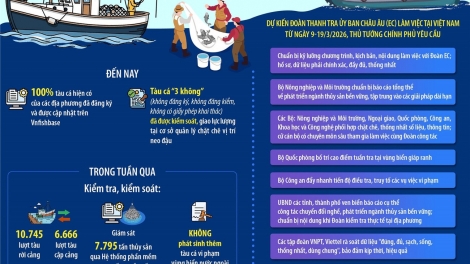 Bài 3 Loạt bài “Gỡ “thẻ vàng” IUU: Hành trình chuyển mình của nghề cá Việt Nam”