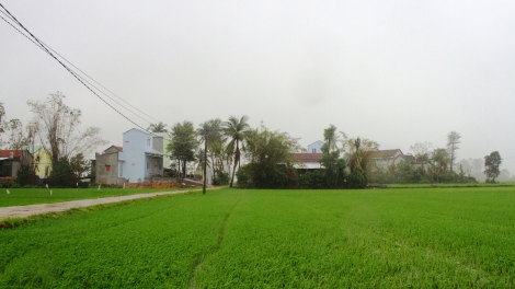 Nước mắt và Nụ cười Hòa Thịnh