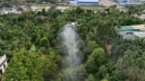 Nhiều nông dân Tây Nguyên đưa Drone vào chăm sóc cây trồng