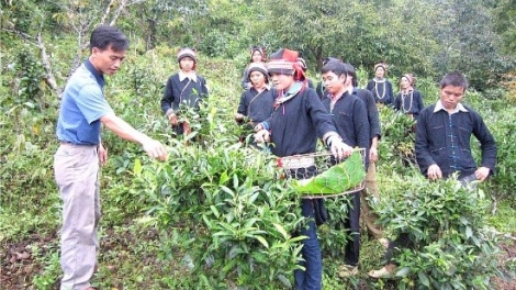 Giải pháp giúp người lao động Lạng Sơn vững vàng trước biến động việc làm