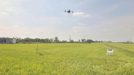 Sản xuất nông nghiệp ĐBSCL gặp khó nếu chiến sự Trung Đông kéo dài