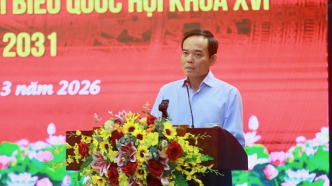 Ông Trần Lưu Quang thông tin về chủ trương TPHCM di dời trường học, bệnh viện ra vùng ven