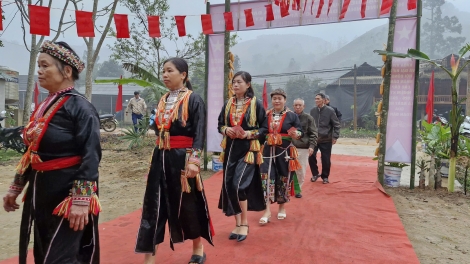 Vượt dốc núi đi bầu