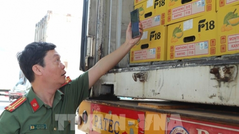 Bản tin 15h 10/4/2026