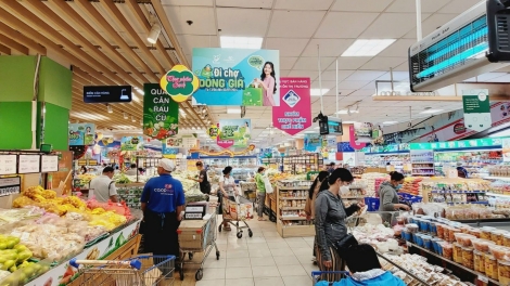 Thị trường trong nước giữ nhịp ổn định trong quý I năm nay