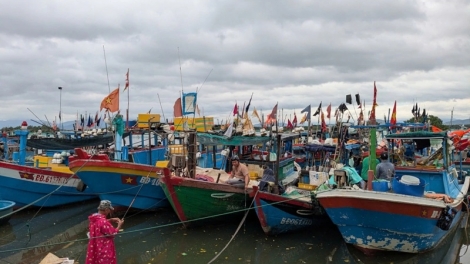 Chống khai thác IUU, Gia Lai đã lắp đặt nhật ký điện tử cho hơn 3.000 tàu cá