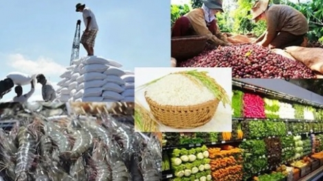 Hai lần tạm ngưng Nghị định 46: Bài toán quản lý an toàn thực phẩm và năng lực kiến tạo thể chế