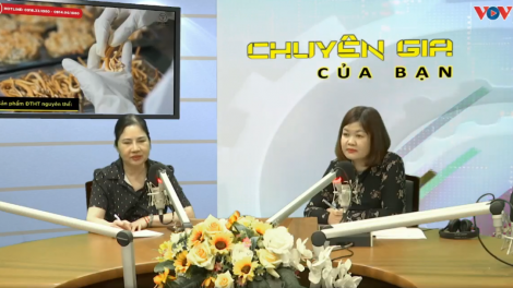 Giải pháp bảo vệ sức khỏe từ thảo dược cho người mắc bệnh mãn tính trong mùa nắng nóng