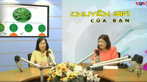 Hạn chế nguy cơ viêm phổi cấp khi nắng nóng – Giải pháp hỗ trợ từ thảo dược.