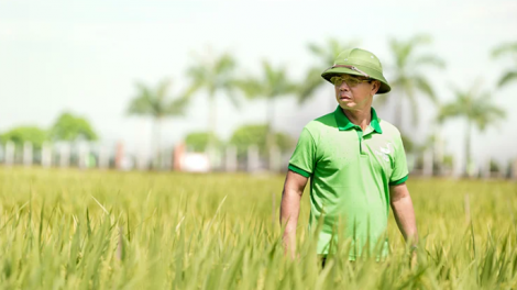 Theo dòng thời sự sáng 13/4/2026