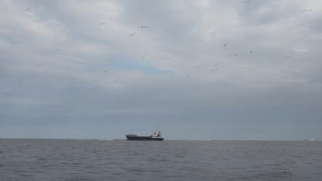 Kịch bản nào cho Trung Đông sau khi đàm phán Mỹ- Iran đổ vỡ?