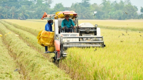 Chủ động sản xuất trước giá vật tư nông nghiệp tăng cao 
