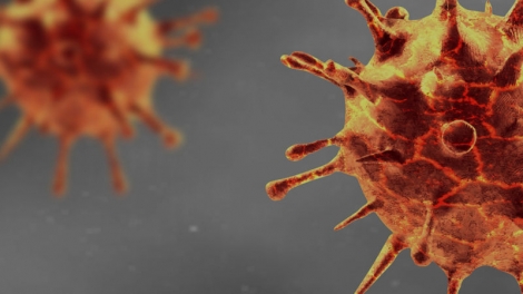 Thái Lan ban hành cảnh báo bệnh Whitmore sau khi ghi nhận 23 ca tử vong