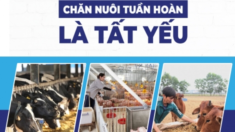 Chăn nuôi xanh áp lực hay cơ hội
