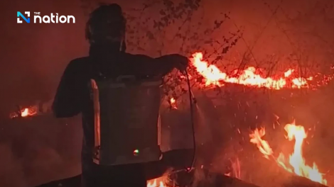 Thái Lan ban bố tình trạng thiên tai khẩn cấp tại miền Bắc do cháy rừng và bụi mịn PM2.5