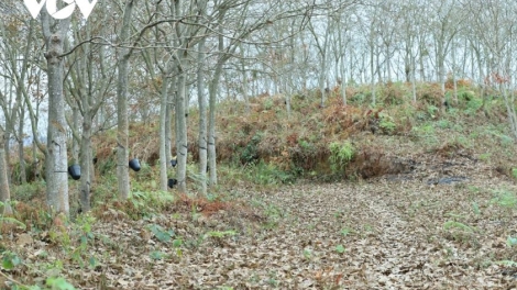 Theo dòng thời sự sáng 10/4/2026