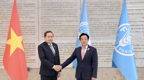 Chủ tịch Quốc hội gặp Tổng giám đốc Tổ chức Nông nghiệp và Lương thực Liên hợp quốc