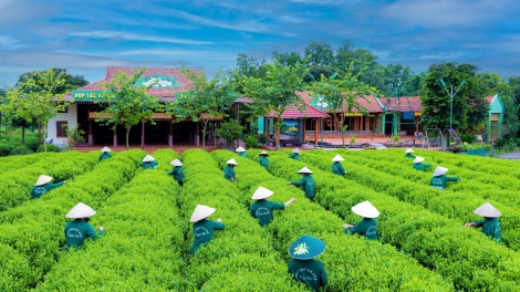 Du lịch Thái Nguyên khởi sắc từ đầu năm