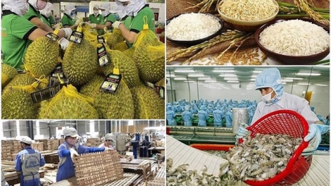 Chủ động xoay trục, nông nghiệp giữ vững đà xuất khẩu