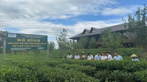 Chủ động nâng cao vị thế nông sản trên thị trường toàn cầu (08/04/2026)