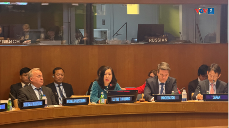 Việt Nam chủ trì Tọa đàm về sử dụng hòa bình năng lượng hạt nhân