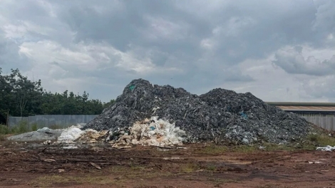 Khởi tố, bắt tạm giam 2 đối tượng đổ trộm hơn 567 tấn da bò phế thải ở Đồng Nai 