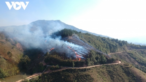 Nguy cơ cháy rừng ở mức báo động, Điện Biên kích hoạt toàn diện phương án ứng phó