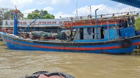 Đồng Tháp: Triển khai lộ trình sử dụng nhiên liệu sinh học   