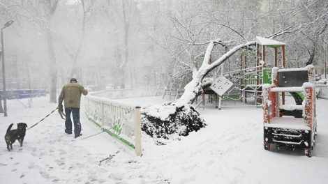 Bão tuyết trái mùa phủ trắng Moscow, giao thông tê liệt