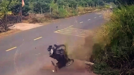 Vụ tai nạn làm học sinh lớp 12 tử vong ở Đắk Lắk: Đình chỉ một Thiếu tá Cảnh sát giao thông