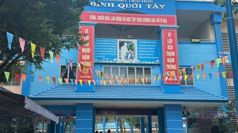 Hàng trăm học sinh TP.HCM nghi ngộ độc, tìm thấy vi khuẩn salmonella