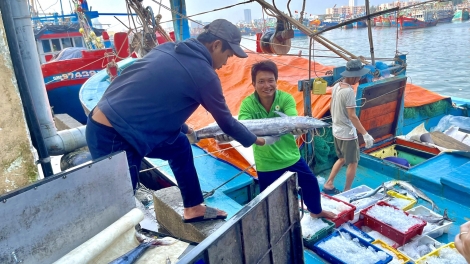 Gỡ thẻ vàng thủy sản: Ý thức ngư dân là yếu tố quyết định