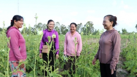 Mở “cánh cửa” thoát nghèo cho phụ nữ Khmer ở Song Lộc, Vĩnh Long