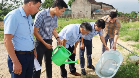Hà Tĩnh: Tập trung ngăn chặn dịch sốt xuất huyết lây lan diện rộng